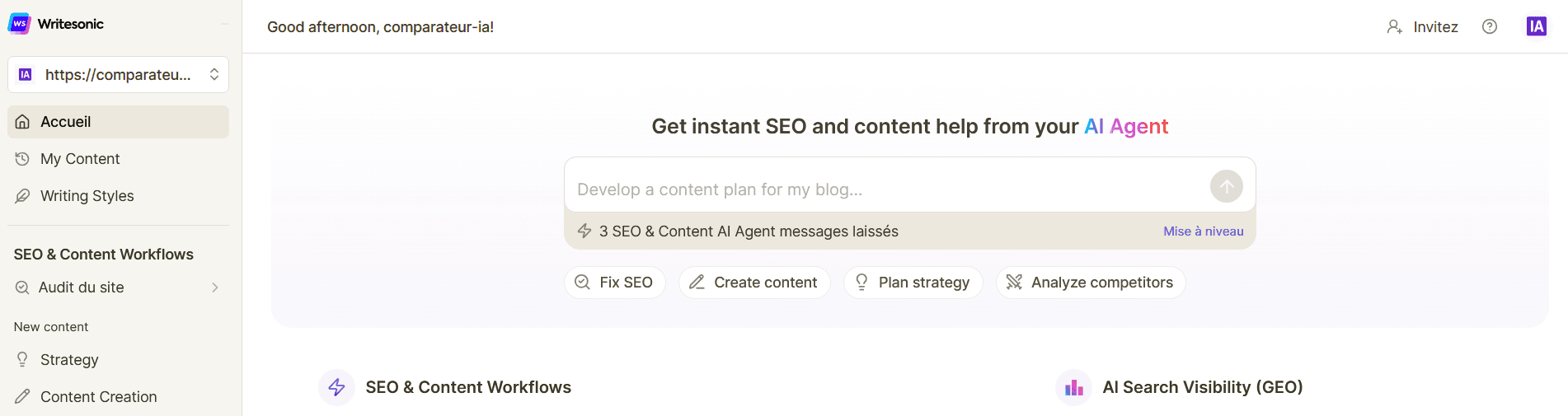 WriteSonic — aperçu