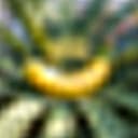 AI Banana