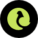 Logo Aigeon AI