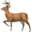 Logo DeerFlow