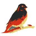 Logo Kanaries