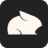 Logo Pika Labs