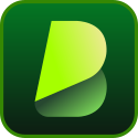 BlipCut Video Translator