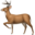 Logo Deerflow 3