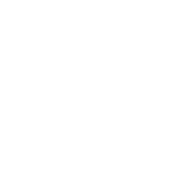 Logo Virtualcrush 5