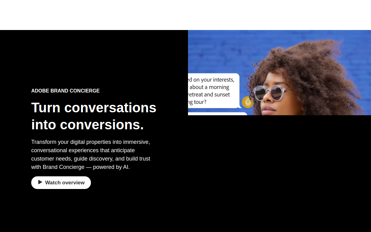 Capture d'écran de Adobe Brand Concierge