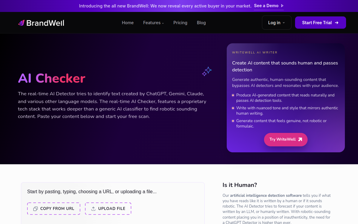 Capture d'écran de Content at Scale AI Detector
